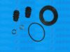 AUTOFREN SEINSA D41251 Repair Kit, brake caliper
